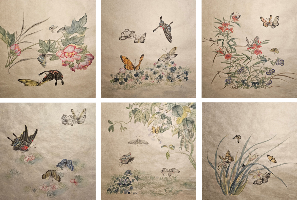 Blume und Schmetterling 꽃과 나비